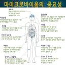 파인식품 이미지