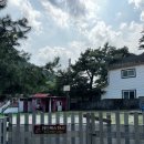 레드폭스 민박 이미지