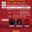 크리스마스 트리 축제 이미지