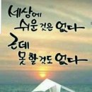 채이은 이미지