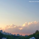 꼬르륵김밥분식 이미지