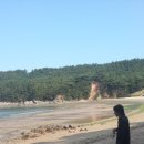 조나단 민박 이미지