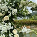 호텔송담 이미지