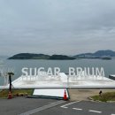 여수 애견동반 숙소 내돈내산 &lt;슈가브리움 풀빌라 리조트&gt; 로타 솔직후기