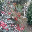 마인저 하우스 이미지