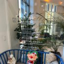 명품스터디카페 야당점 | <경기/파주> 컴프 에비뉴 - 파주 헤이리 대형 브런치 카페 방문 후기!