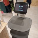 판바우로 이미지