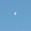 삼배농장 이미지