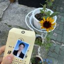 새한사진관 - 창원시 마산회원구 양덕로 2 | 새한사진관