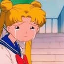 브라운 돈가스 이미지