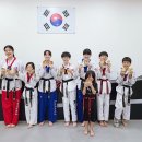 한양대청사태권도 이미지