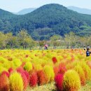 황산공원(황산B) 이미지