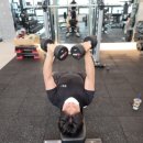 엘리스 휘트니스 이미지