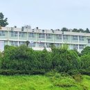 고금체육관 티스토리