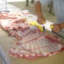 화사랑 아사도 이미지