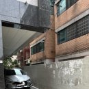 멜티스 이미지