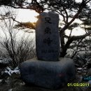 우담 이미지