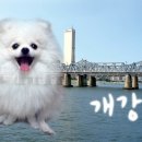 광명역(ktx) 이미지