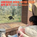 14 | 서울대공원 동물원 아기랑 다녀온 솔직 후기 | 14개월 기준 괜찮을까?