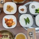 오베이글리 이미지