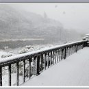 테라스 민박 이미지