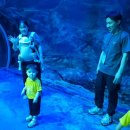 [6월19일] 아쿠아 플라넷에 다녀왔어요🤩🤩 이미지