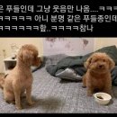 두둥