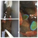 뽑아가즈아 이미지