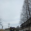 굴다리보신탕 이미지