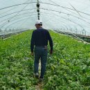 순익농장 이미지