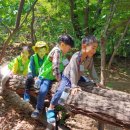 명일공원 유아숲체험원 이미지
