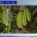 심볼리즘 이미지