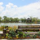 궁남지 문화관광해설사 이미지