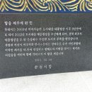 보성녹차(순천) 네이버블로그