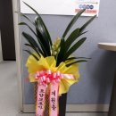 마음모아요양보호사교육원 이미지