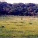 신례1리 이미지