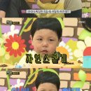 애니멀즈 이미지