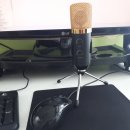 마이크하우스