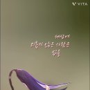 신보영 이미지