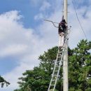 팔금면사무소 이미지