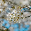 가현1길 이미지