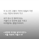 우리의 삶을 위로하는 한강의 문장들 이미지