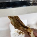 햄돌이타코야끼 이미지