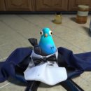 Spies in Disguise | 스파이 지니어스 후기 (Spies in disguise)