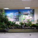 청석초등학교 이미지