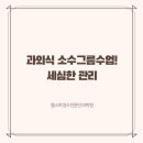 엠스트영수전문학원