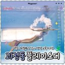 대둔산로(2) | [플레이스디] 대전 프리다이빙, 머메이드 전문 강습까지 생각하게된 솔직후기