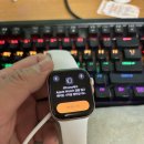 (주)브레이드 | 애플워치 10 42mm 내돈내산 후기!