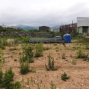 장안읍반룡리-80 이미지