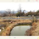 도청대로(동) 이미지